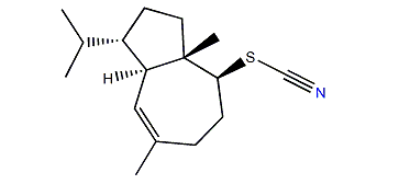 Halichon E